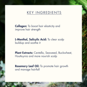 Treecell - Night Collagen Shampoo Midnight Forest